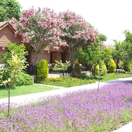 Feriested Garden